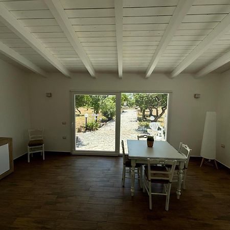Tenuta Pizzi ซานเปียโตรแวร์โนติโค ภายนอก รูปภาพ