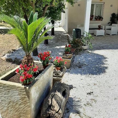 Tenuta Pizzi ซานเปียโตรแวร์โนติโค ภายนอก รูปภาพ