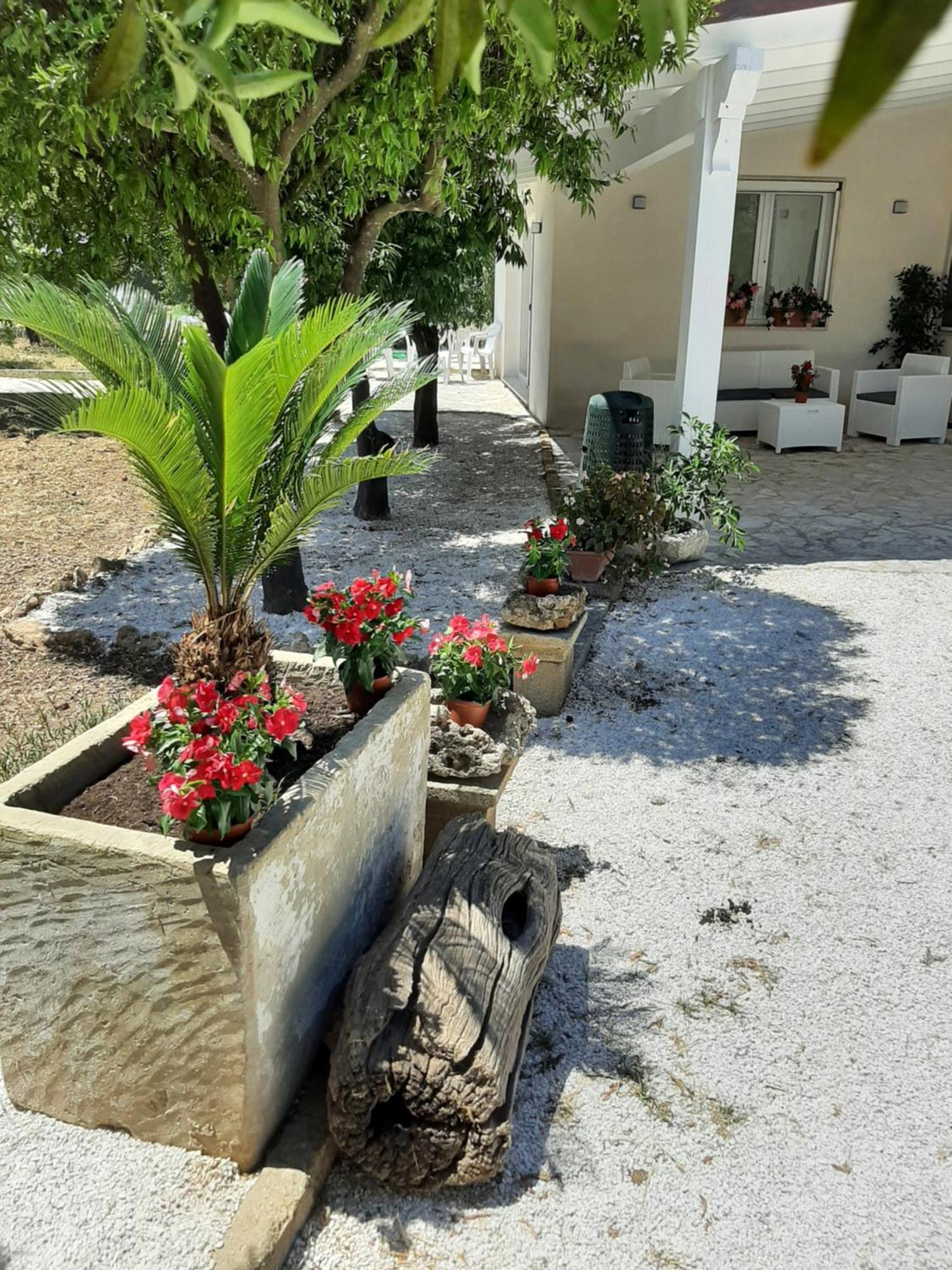 Tenuta Pizzi ซานเปียโตรแวร์โนติโค ภายนอก รูปภาพ